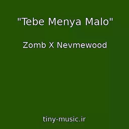 کاور آهنگ "Tebe Menya Malo" از Zomb X Nevmewood