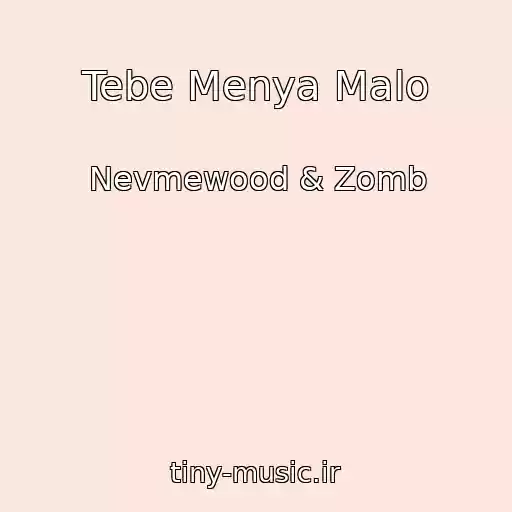کاور آهنگ Tebe Menya Malo از Nevmewood & Zomb
