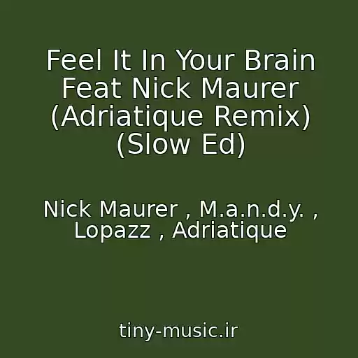 کاور آهنگ Feel It In Your Brain Feat Nick Maurer (Adriatique Remix) (Slow Ed) از Nick Maurer , M.a.n.d.y. , Lopazz , Adriatique