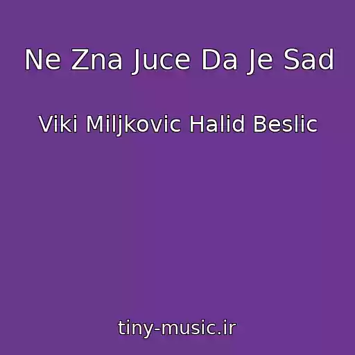 کاور آهنگ Ne Zna Juce Da Je Sad از Viki Miljkovic Halid Beslic