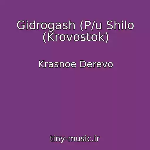 کاور آهنگ Gidrogash (P/u Shilo (Krovostok) از Krasnoe Derevo