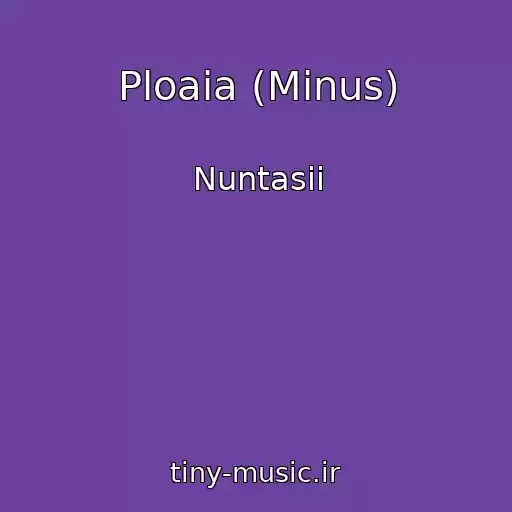 کاور آهنگ Ploaia (Minus) از Nuntasii
