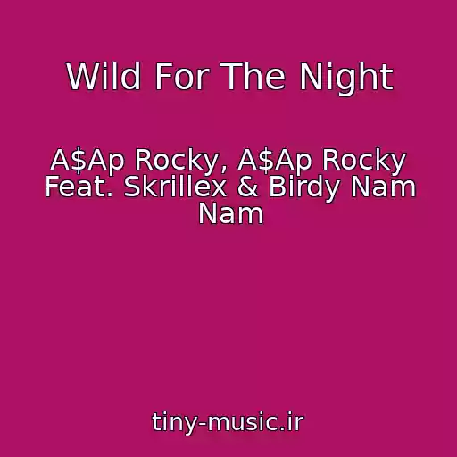 کاور آهنگ Wild For The Night از A$Ap Rocky, A$Ap Rocky Feat. Skrillex & Birdy Nam Nam