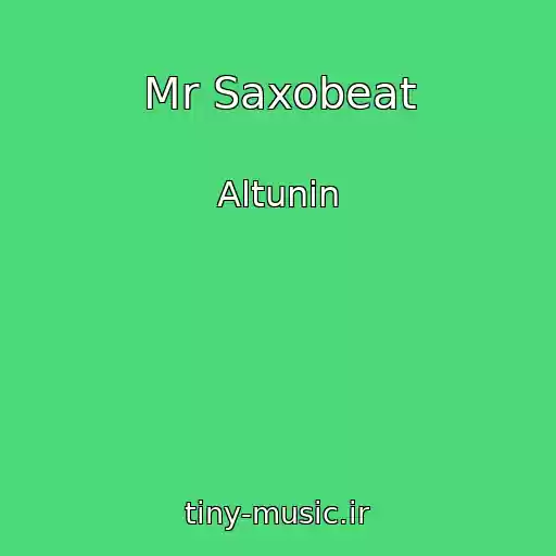 کاور آهنگ Mr Saxobeat از Altunin