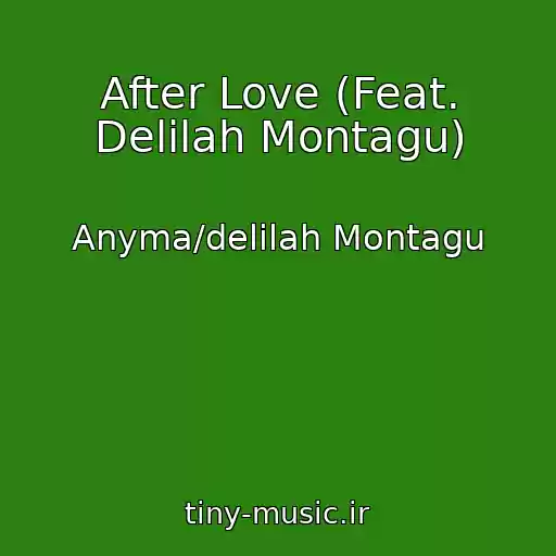 کاور آهنگ After Love (Feat. Delilah Montagu) از Anyma/delilah Montagu