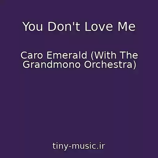 کاور آهنگ You Don't Love Me از Caro Emerald (With The Grandmono Orchestra)