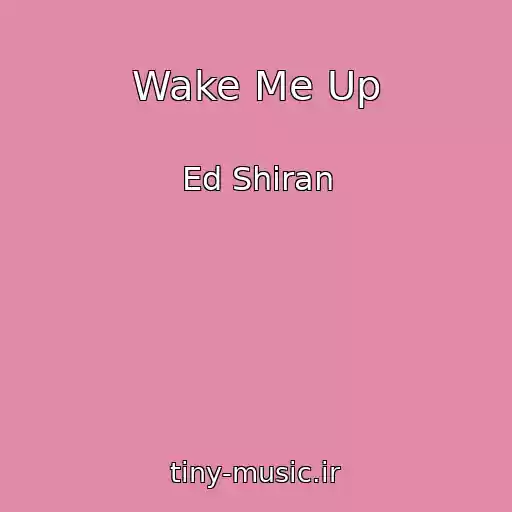کاور آهنگ Wake Me Up از Ed Shiran