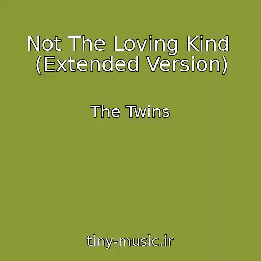 کاور آهنگ Not The Loving Kind  (Extended Version) از The Twins