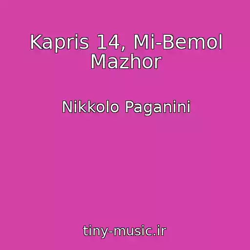کاور آهنگ Kapris 14, Mi-Bemol Mazhor از Nikkolo Paganini