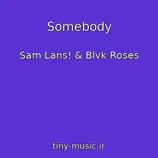 کاور آهنگ Somebody از Sam Lans! & Blvk Roses