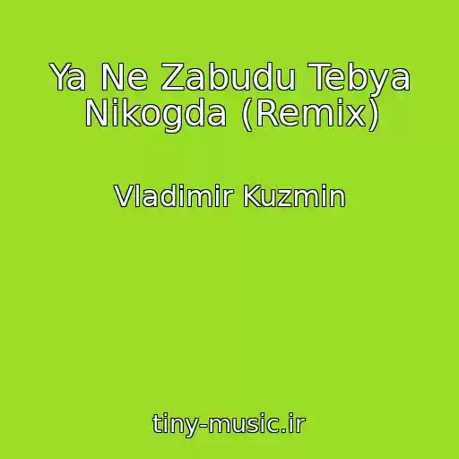 کاور آهنگ Ya Ne Zabudu Tebya Nikogda (Remix) از Vladimir Kuzmin