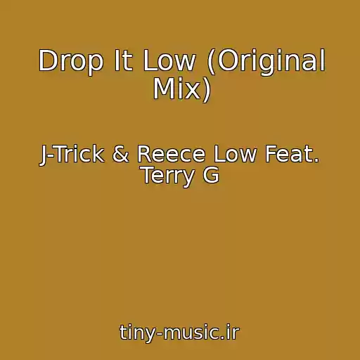 کاور آهنگ Drop It Low (Original Mix) از J-Trick & Reece Low Feat. Terry G