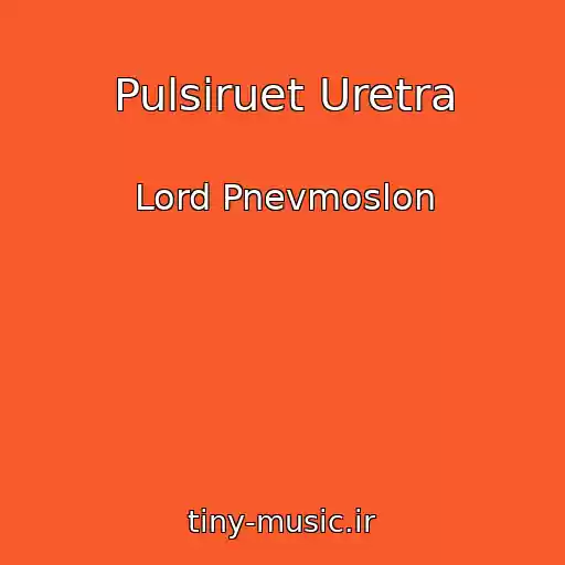 کاور آهنگ Pulsiruet Uretra از Lord Pnevmoslon
