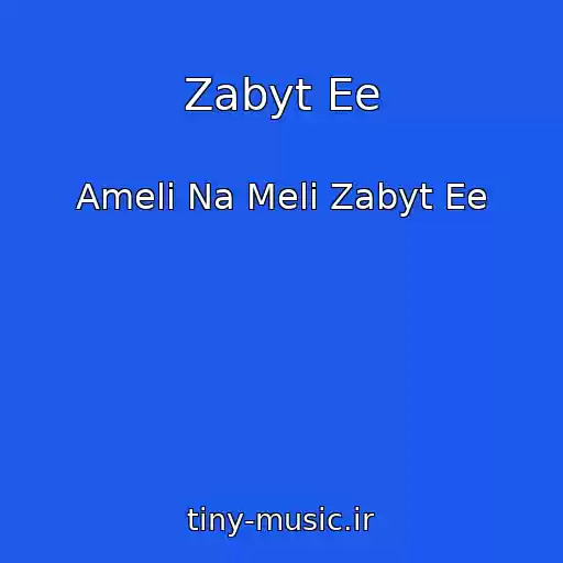 کاور آهنگ Zabyt Ee از Ameli Na Meli Zabyt Ee