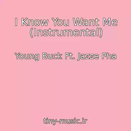 کاور آهنگ I Know You Want Me (Instrumental) از Young Buck Ft. Jazze Pha