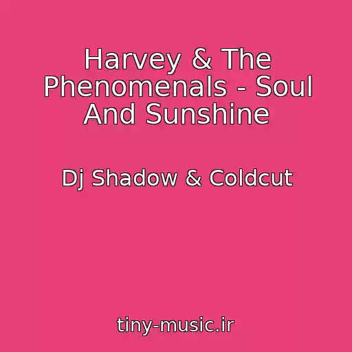 کاور آهنگ Harvey & The Phenomenals - Soul And Sunshine از Dj Shadow & Coldcut