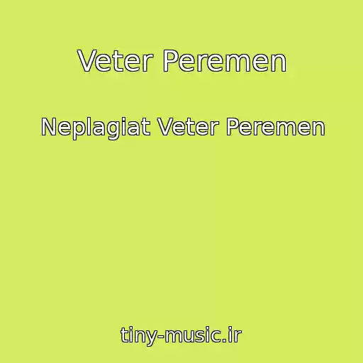 کاور آهنگ Veter Peremen از Neplagiat Veter Peremen