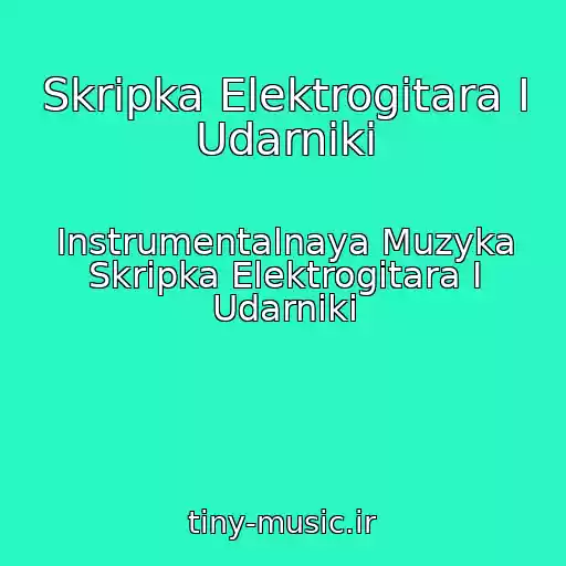 کاور آهنگ Skripka Elektrogitara I Udarniki از Instrumentalnaya Muzyka Skripka Elektrogitara I Udarniki