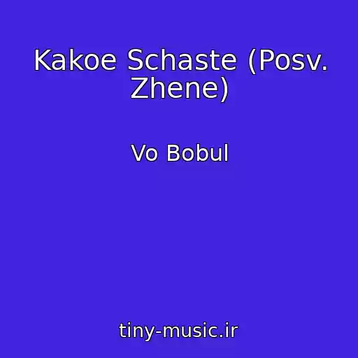 کاور آهنگ Kakoe Schaste (Posv. Zhene) از Vo Bobul