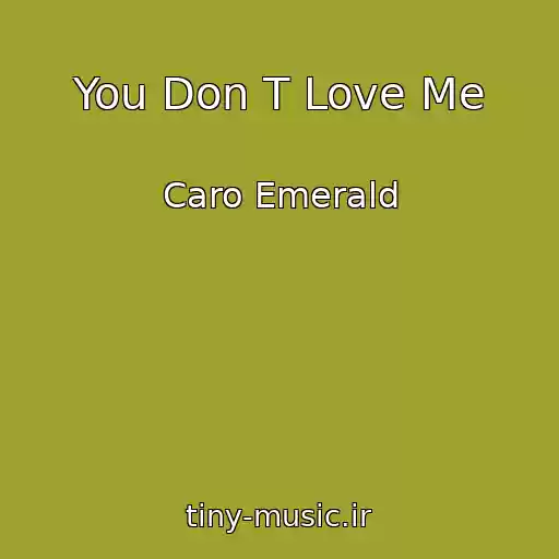 کاور آهنگ You Don T Love Me از Caro Emerald
