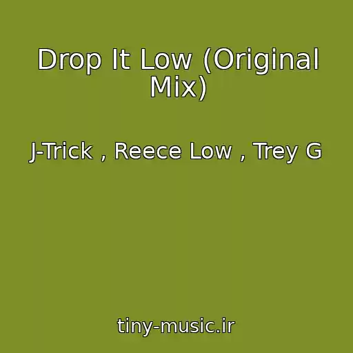 کاور آهنگ Drop It Low (Original Mix) از J-Trick , Reece Low , Trey G