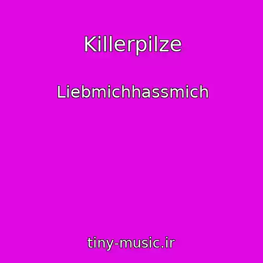 کاور آهنگ Killerpilze از Liebmichhassmich