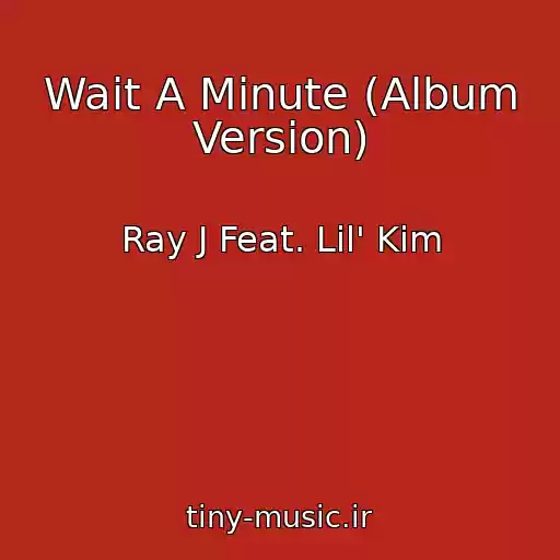 کاور آهنگ Wait A Minute (Album Version) از Ray J Feat. Lil' Kim