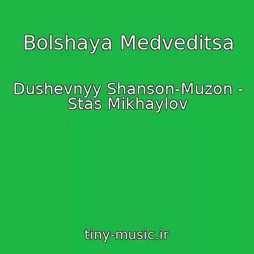 کاور آهنگ Bolshaya Medveditsa از Dushevnyy Shanson-Muzon - Stas Mikhaylov