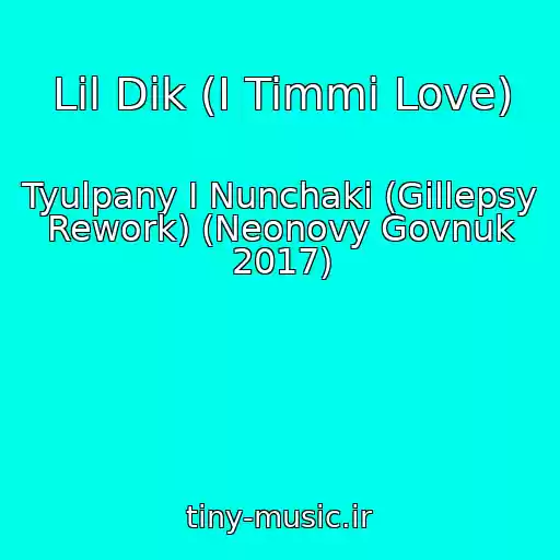 کاور آهنگ Lil Dik (I Timmi Love) از Tyulpany I Nunchaki (Gillepsy Rework) (Neonovy Govnuk 2017)