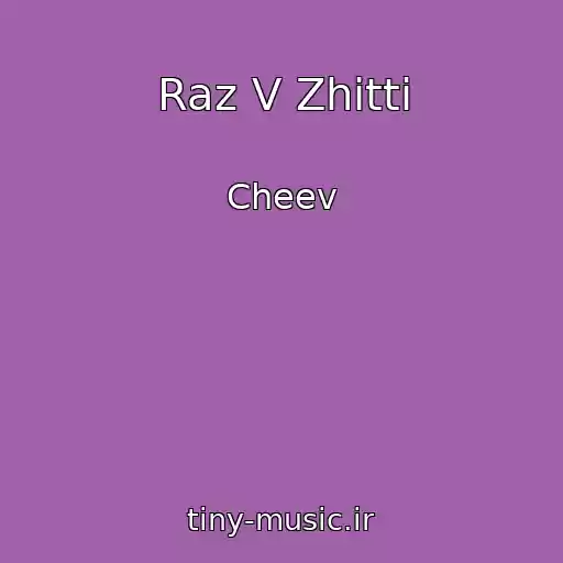 کاور آهنگ Raz V Zhittі از Cheev