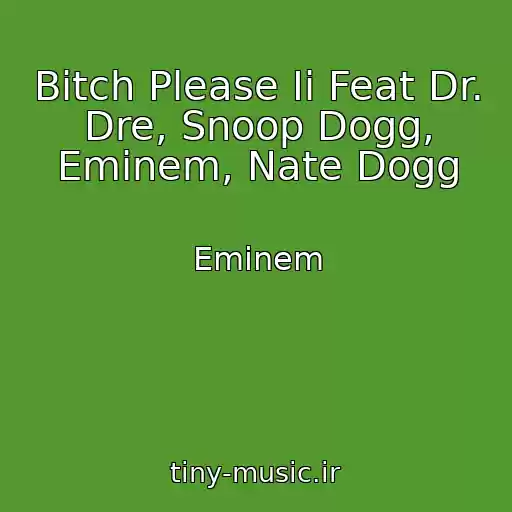 کاور آهنگ Bitch Please Ii Feat Dr. Dre, Snoop Dogg, Eminem, Nate Dogg از Eminem