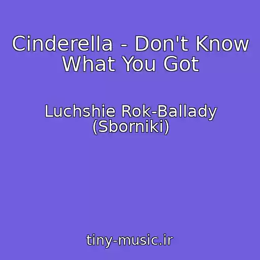 کاور آهنگ Cinderella - Don't Know What You Got از Luchshie Rok-Ballady (Sborniki)