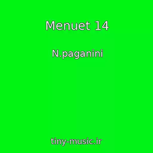 کاور آهنگ Menuet 14 از N.paganini