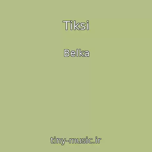 کاور آهنگ Tiksi از Belka
