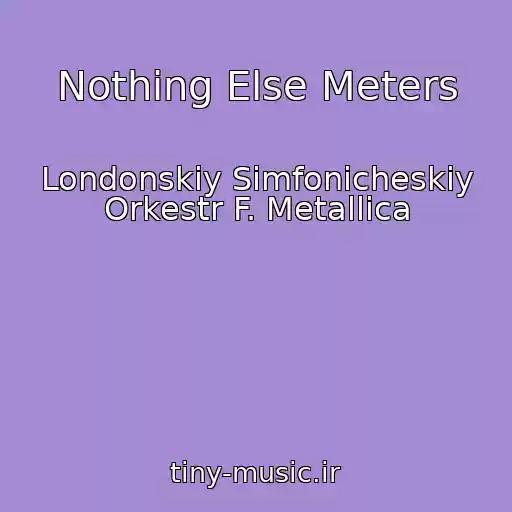 کاور آهنگ Nothing Else Meters از Londonskiy Simfonicheskiy Orkestr F. Metallica