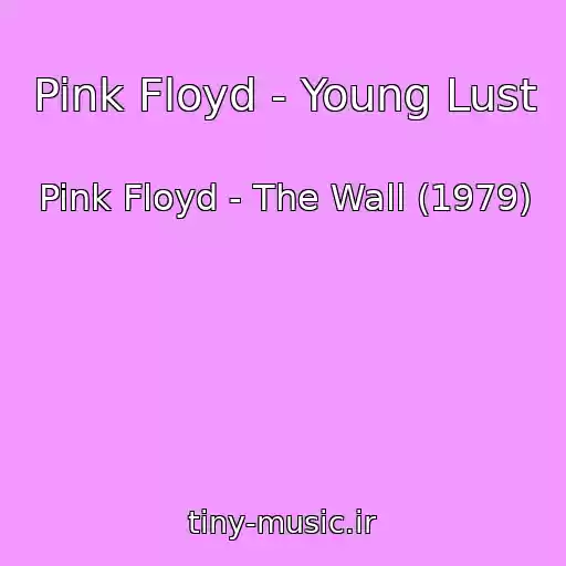 کاور آهنگ Pink Floyd - Young Lust از Pink Floyd - The Wall (1979)