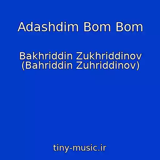 کاور آهنگ Adashdim Bom Bom از Bakhriddin Zukhriddinov (Bahriddin Zuhriddinov)