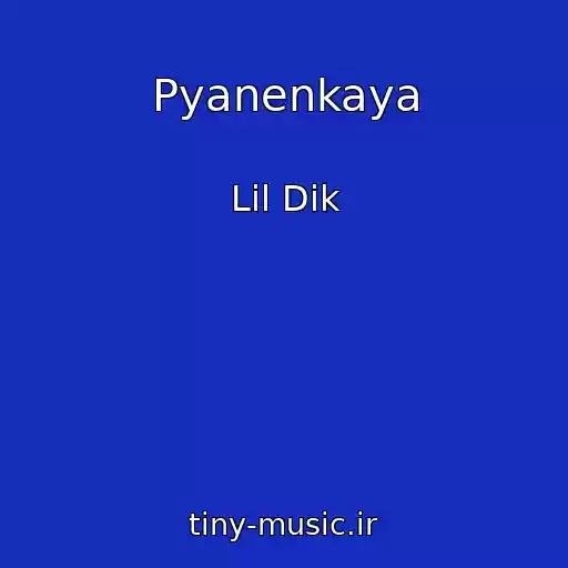 کاور آهنگ Pyanenkaya از Lil Dik