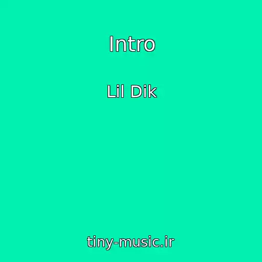 کاور آهنگ Intro از Lil Dik