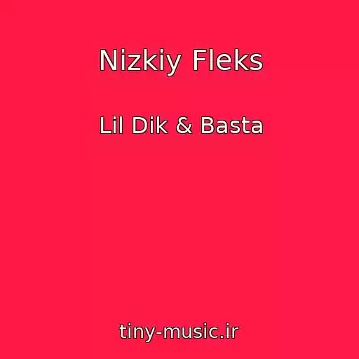 کاور آهنگ Nizkiy Fleks از Lil Dik & Basta