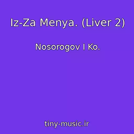 کاور آهنگ Iz-Za Menya. (Liver 2) از Nosorogov I Ko.