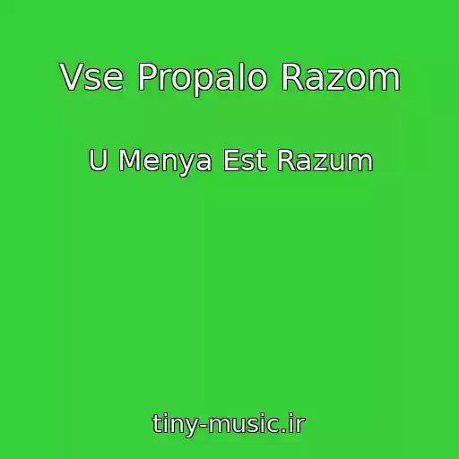 کاور آهنگ Vse Propalo Razom از U Menya Est Razum