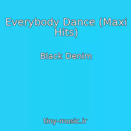 کاور آهنگ Everybody Dance (Maxi Hits) از Black Denim