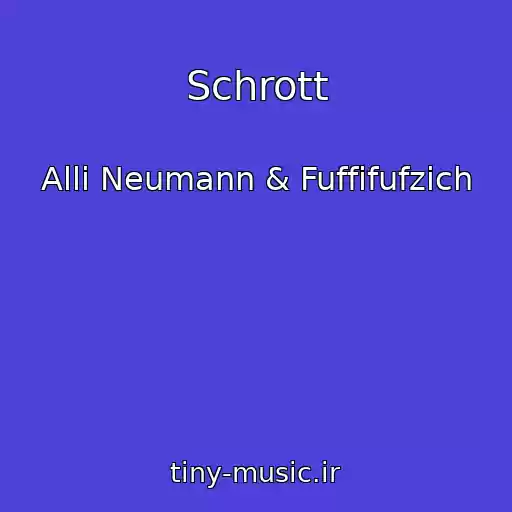 کاور آهنگ Schrott از Alli Neumann & Fuffifufzich
