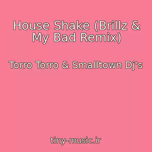 کاور آهنگ House Shake (Brillz & My Bad Remix) از Torro Torro & Smalltown Dj's