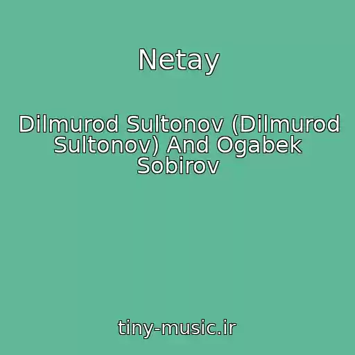 کاور آهنگ Netay از Dilmurod Sultonov (Dilmurod Sultonov) And Ogabek Sobirov
