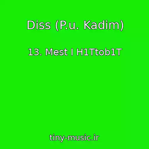 کاور آهنگ Diss (P.u. Kadim) از 13. Mest I H1Ttob1T