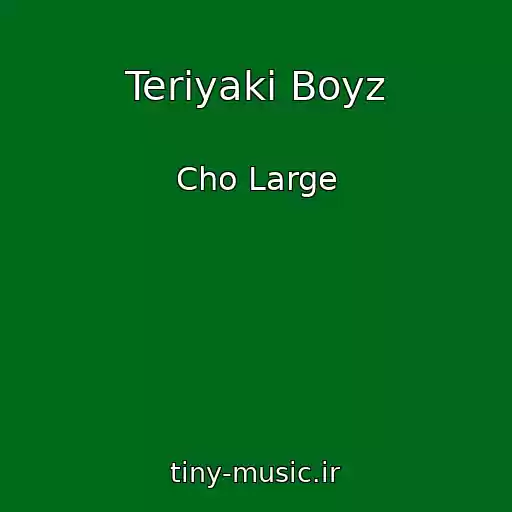 کاور آهنگ Teriyaki Boyz از Cho Large