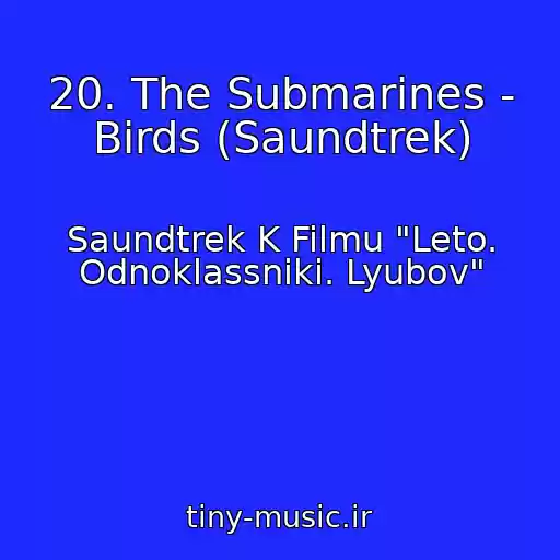 کاور آهنگ 20. The Submarines - Birds (Saundtrek) از Saundtrek K Filmu "Leto. Odnoklassniki. Lyubov"