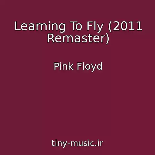 کاور آهنگ Learning To Fly (2011 Remaster) از Pink Floyd